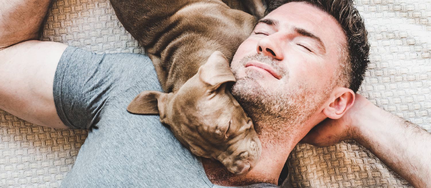 Sleeping With Dogs 8 Science Backed Tips Tommy John